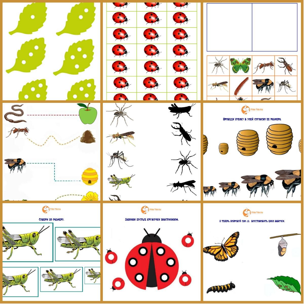 Развитие речи насекомые средняя группа. Насекомые занятие для дошкольников. Насекомые задания для дошкольников. Тематический комплект насекомые. Насекомые карточки с заданиями.