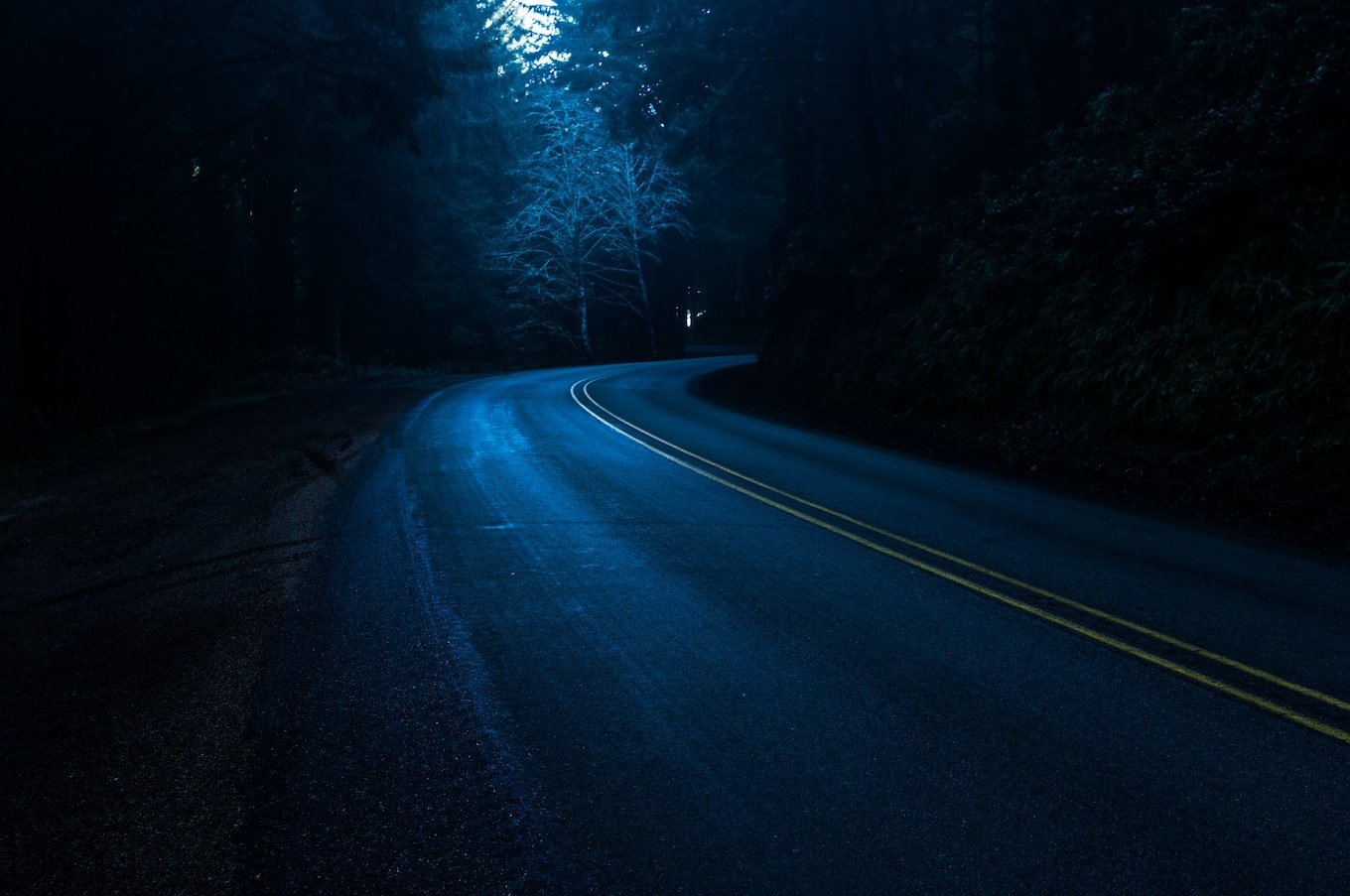 Main night. Темная дорога. Дорога ночью. Лесная дорога ночью. Ночная трасса в лесу.