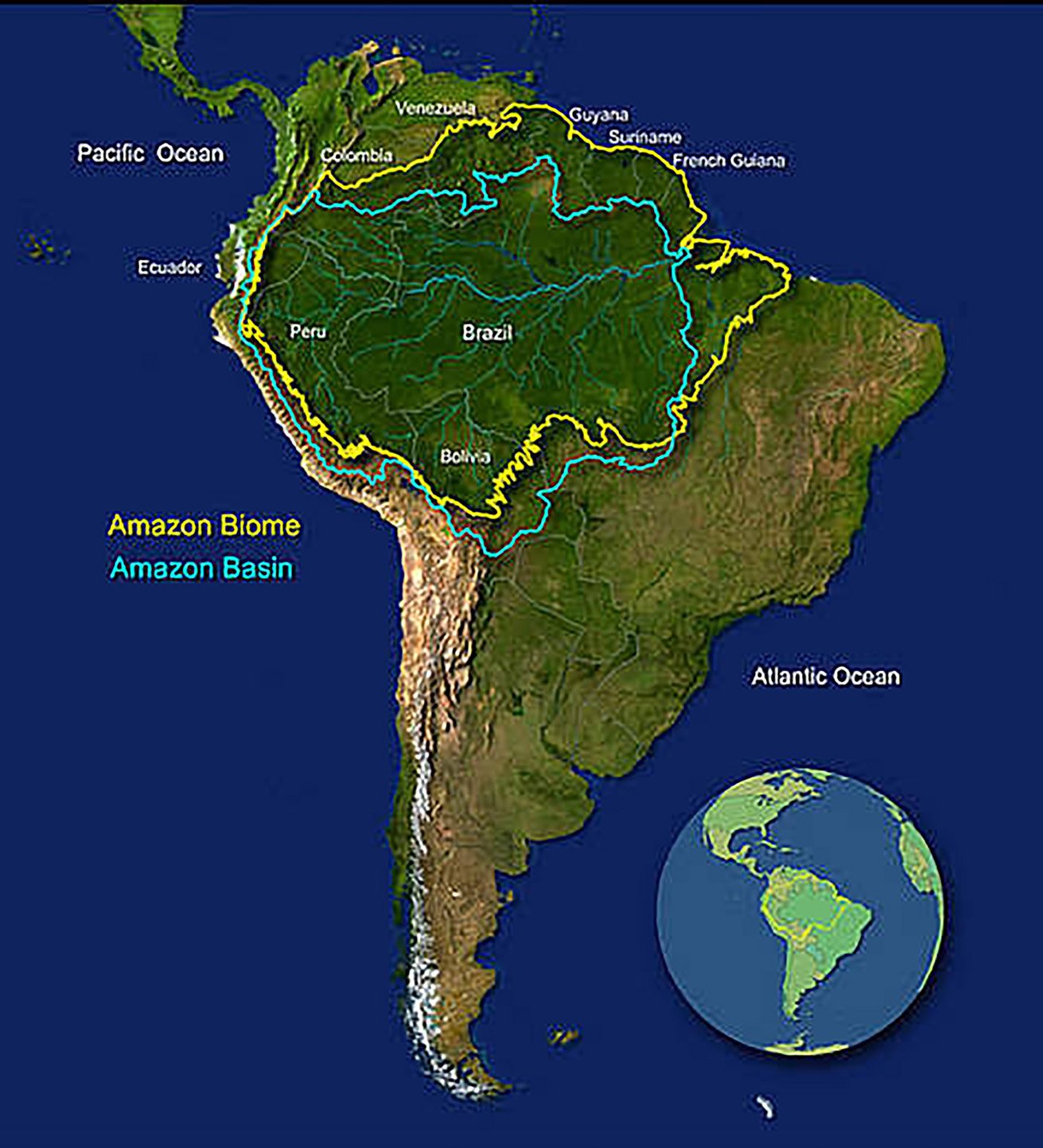 : Бассейн амазонки (Южная Америка)