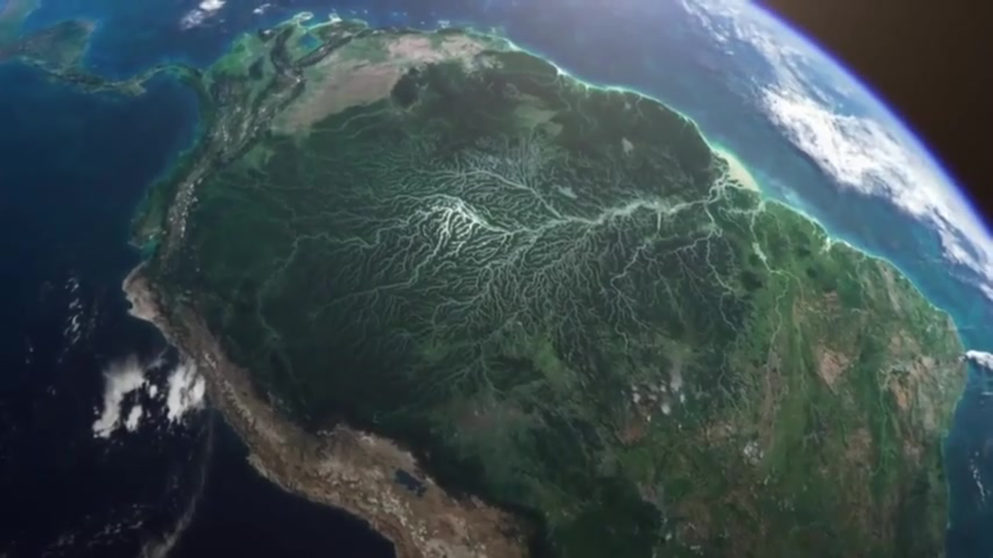 Дельта амазонки
