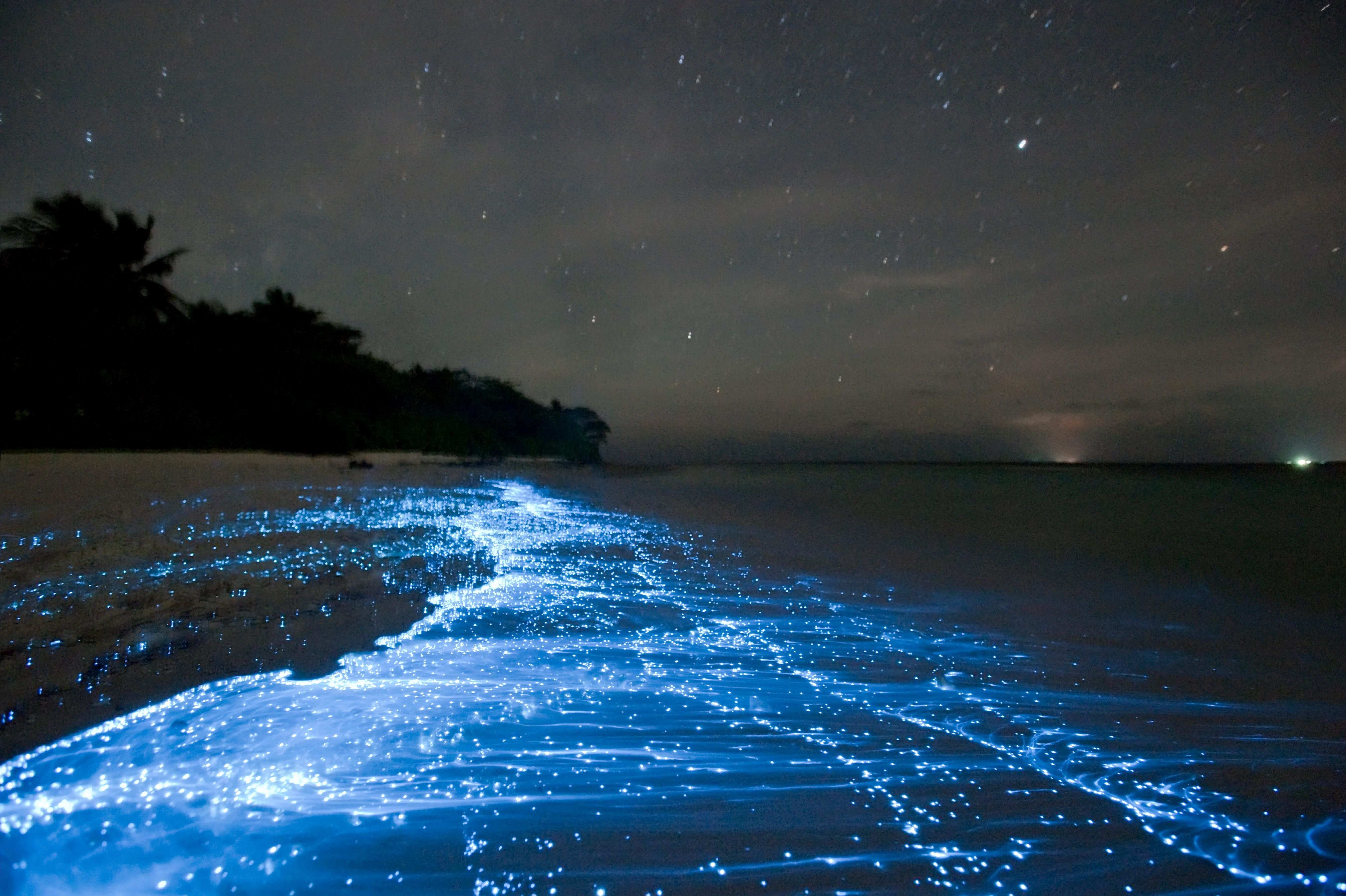 Море ночь красиво. Остров Ваадху Мальдивы. Остров Ваадху Мальдивы светящийся планктон. Остров Ваадху Мальдивы светящийся пляж. Пляж Ваадху Мальдивы.
