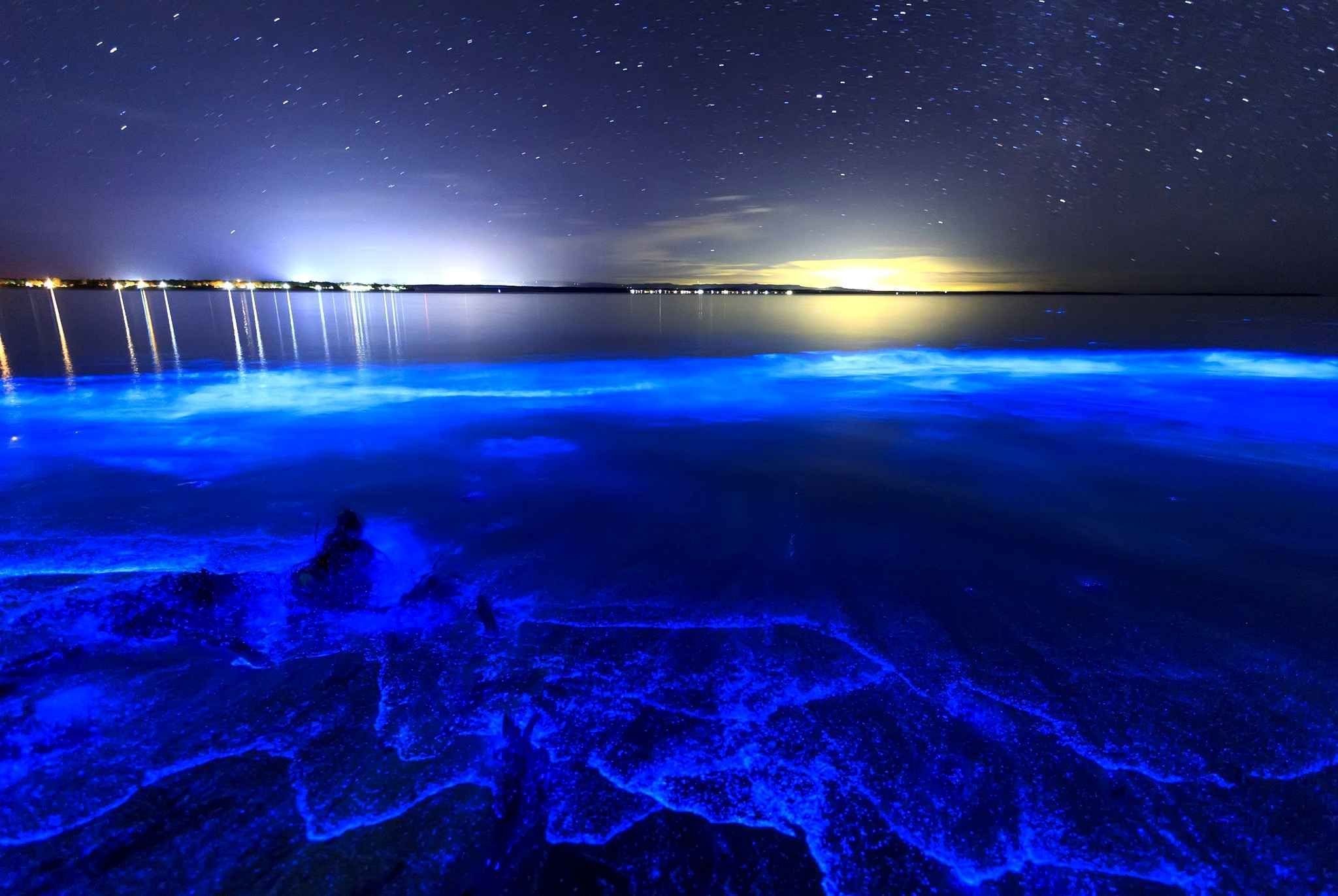 Светящееся море почему светится. Озеро Джипсленд Австралия. Остров Ваадху Мальдивы. Пляж Ваадху Мальдивы.