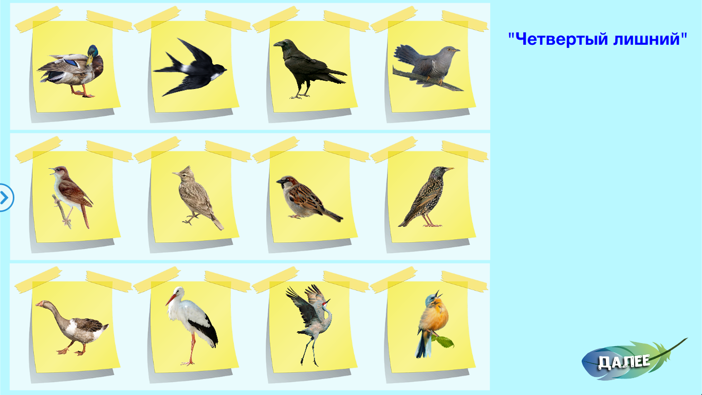Поделка перелетные птицы. Перелетные птицы Тульской области. Игры на липучках перелетные птицы. Поделки перелетные птицы для детского сада.