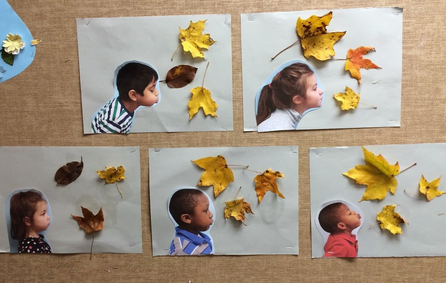 Коллаж осень в детском саду