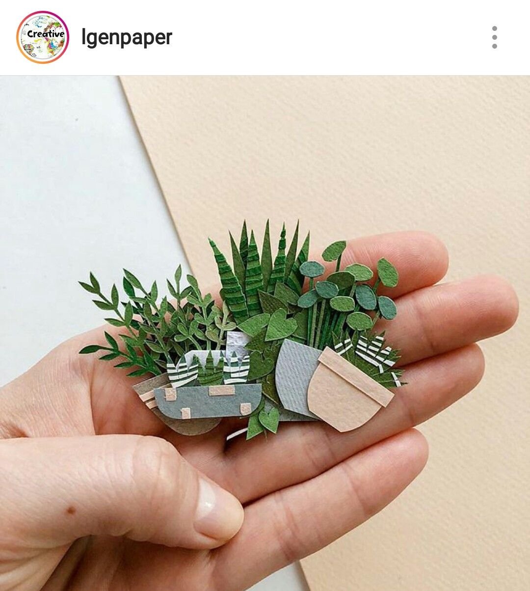 Комнатные растения из бумаги