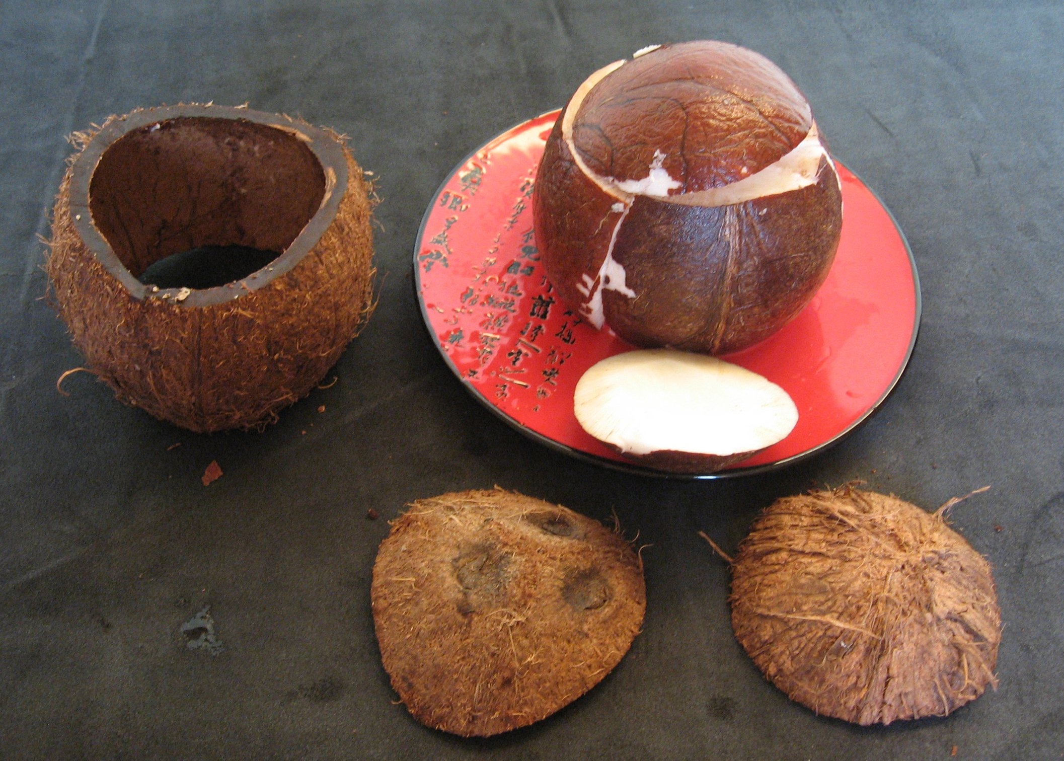 Поделки из кокоса своими руками - 83 фото