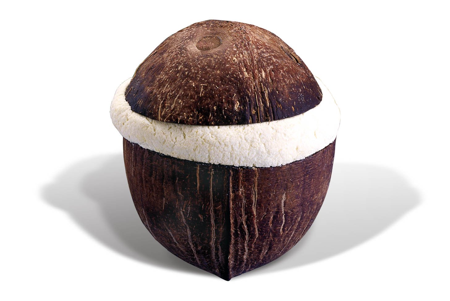 Поделки из кокосовой скорлупы