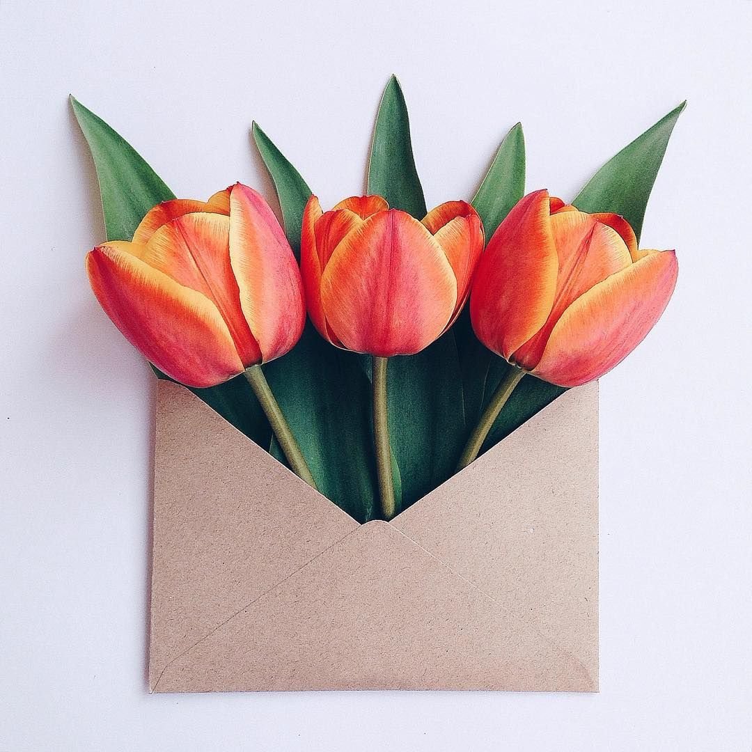 Тюльпаны в конверте