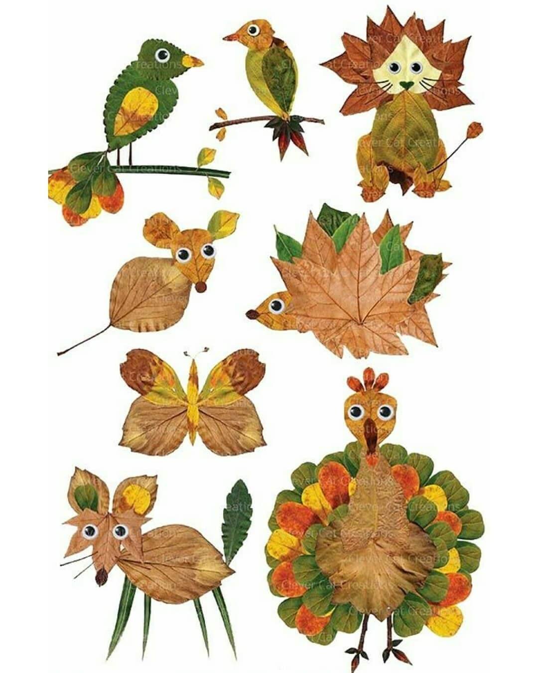 Осенний гербарий для детского сада