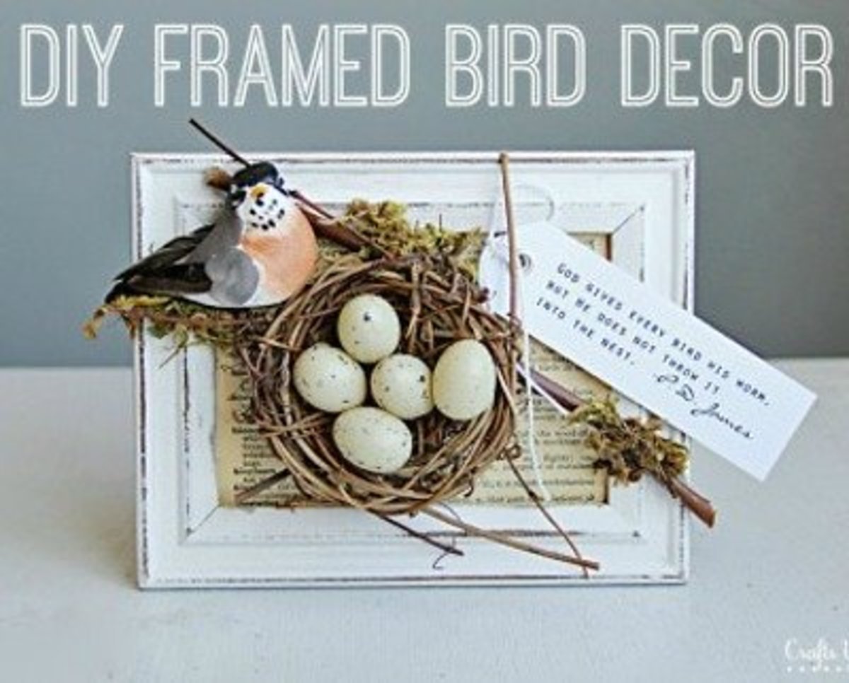 DIY frame Bird