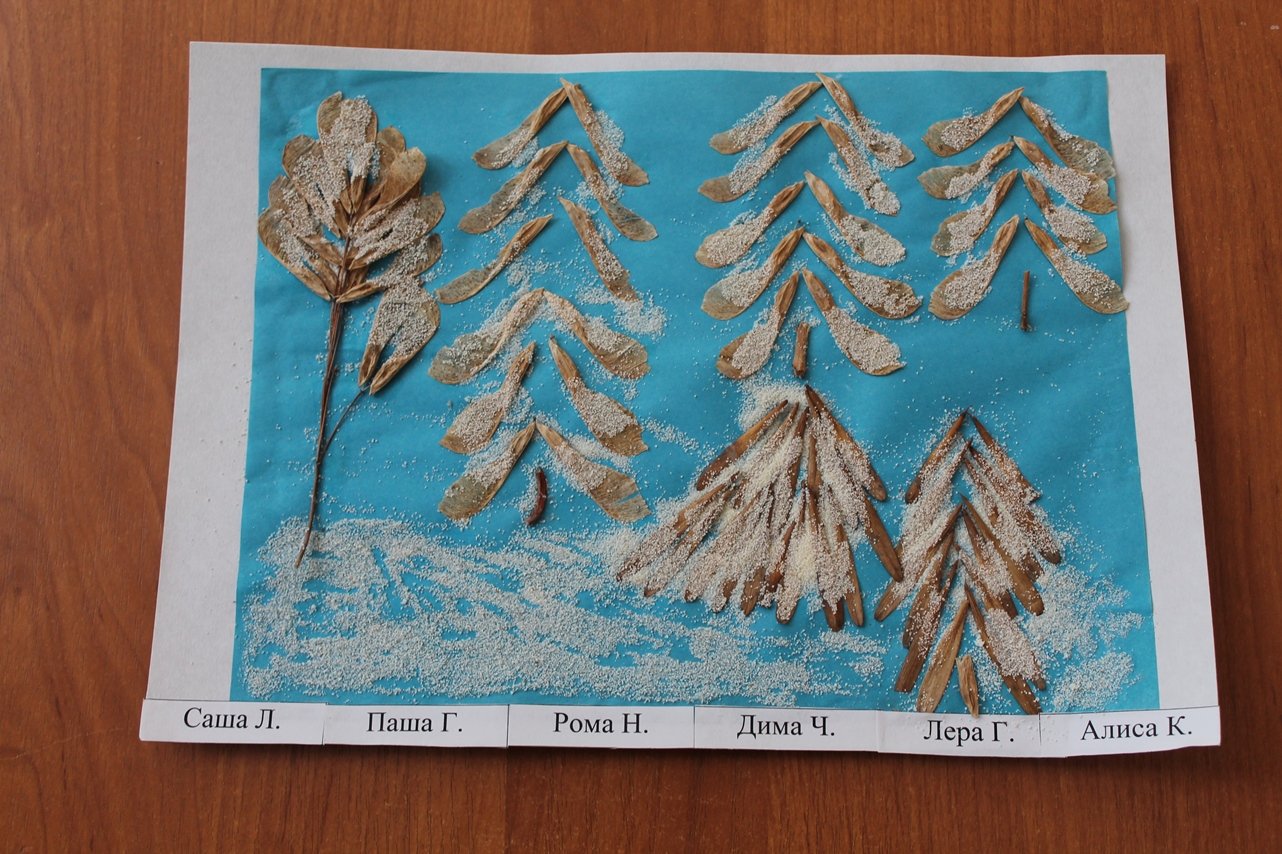 Конструирование зимнее дерево. Поделки из природного материала зима. Поделка зимнее дерево. Аппликация из природного материала зимой. Семена деревьев для поделок.