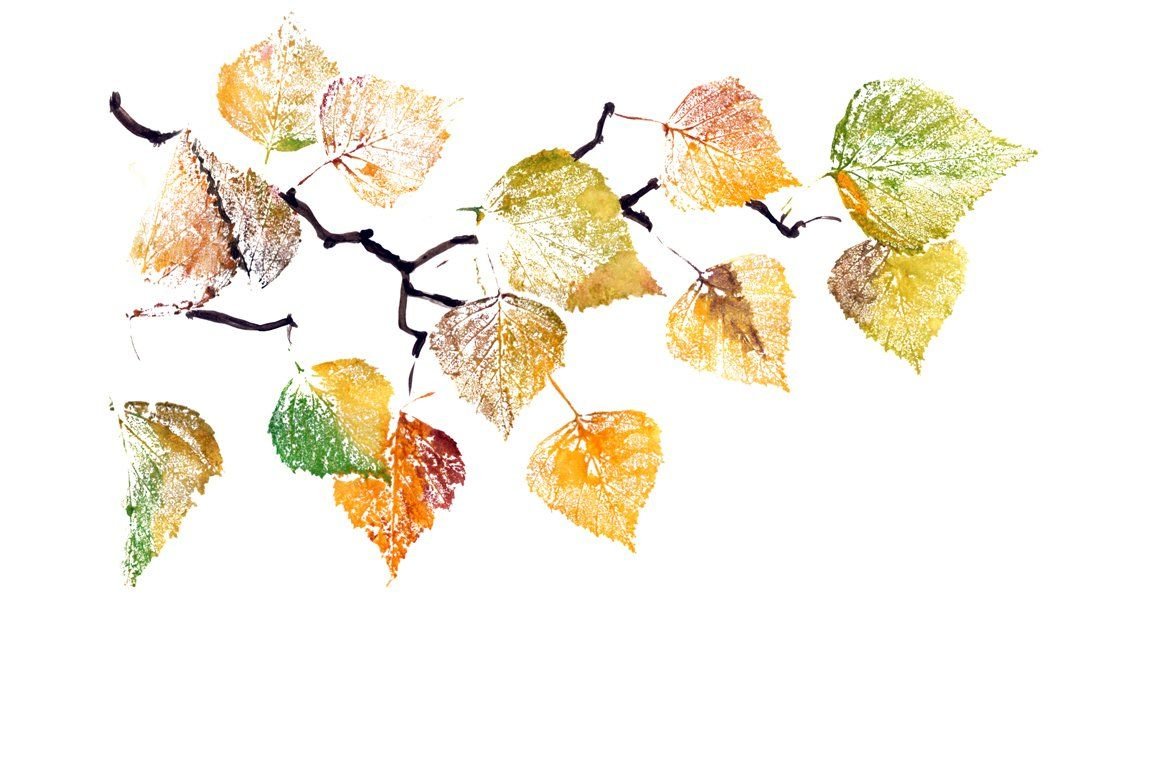Ветка осенних листьев березы акварелью