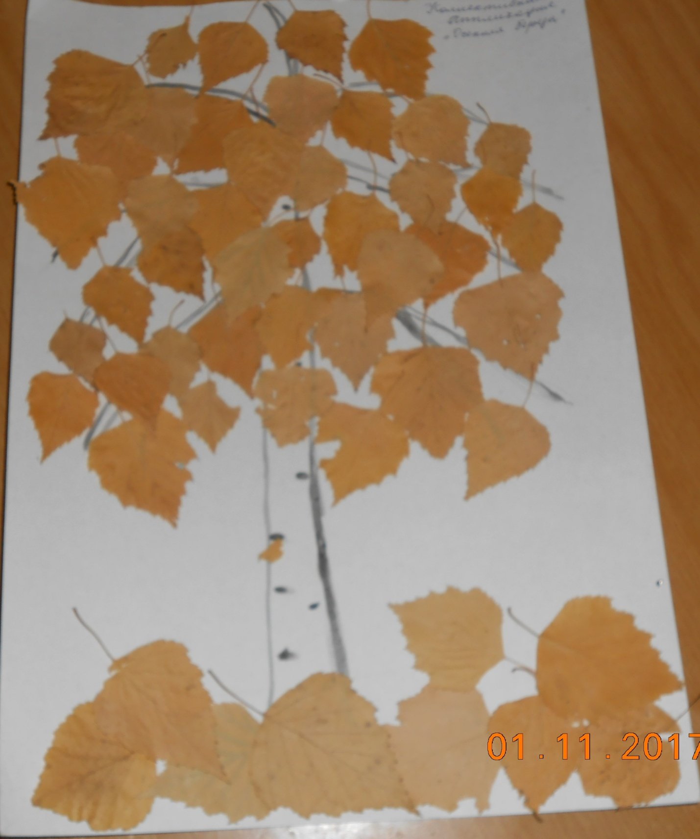 Аппликация из березовых листьев в детском саду