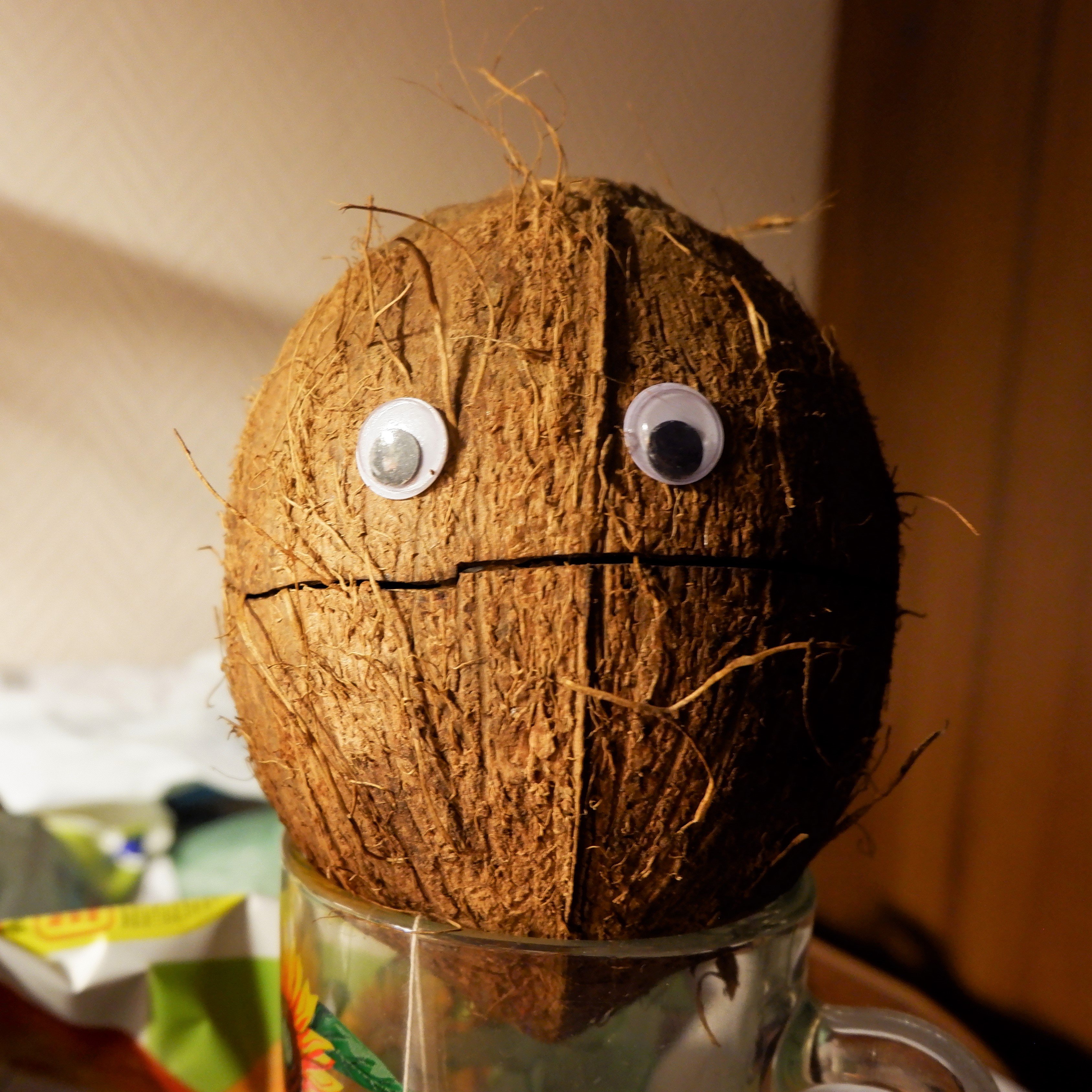 Поделки из кокосового ореха: идеи по изготовлению своими руками (43 фото)