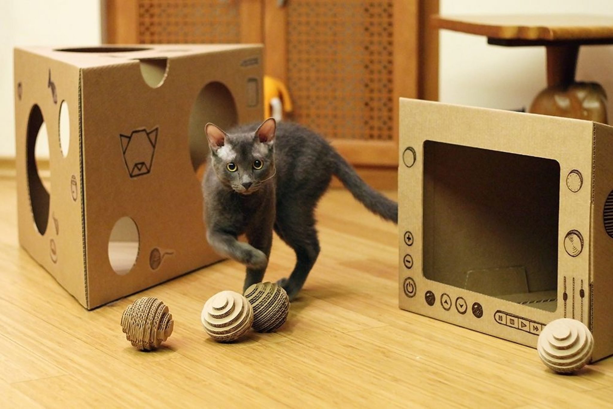 Выбираем игрушку для кошки. Игрушка для кошки из картонной коробки. Игрушки для кошек из картона. Игрушка кот. Самодельные игрушки для кошек.
