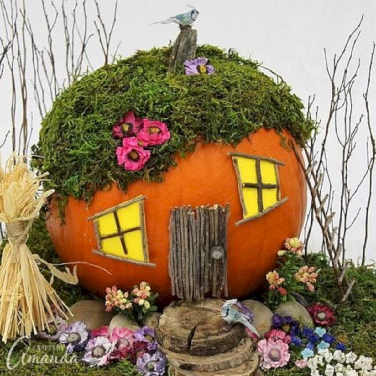 Фото Симпатичный домик тыквы, более 87 качественных бесплатных стоковых фото