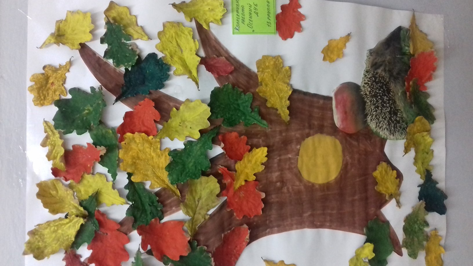 Осенняя композиция в детский сад дуб плакат
