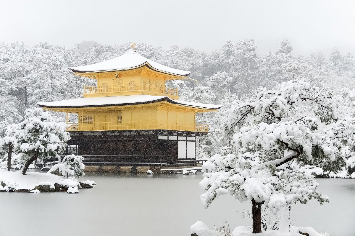 Кинкакудзи Киото зимой Пинтерест