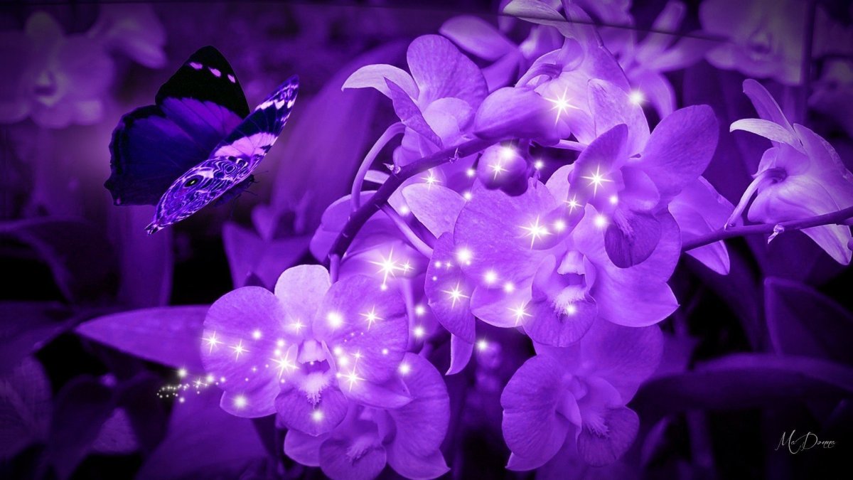 Фиолетовый лес фэнтези