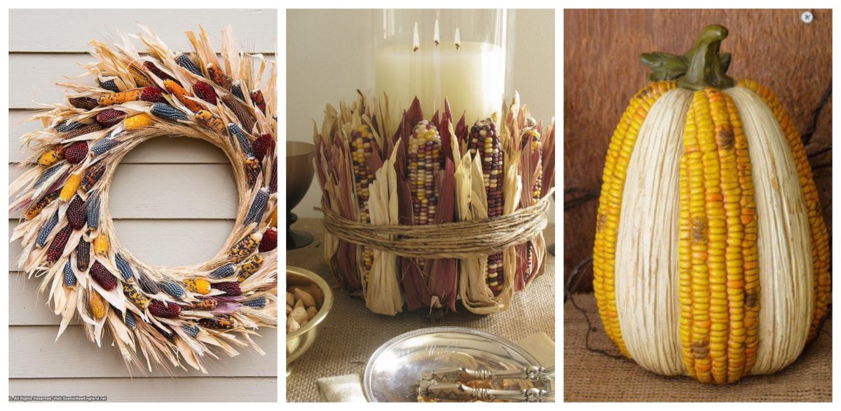 Идеи блюд с кукурузой, как ее варить и чем она полезна — читать на апекс124.рф