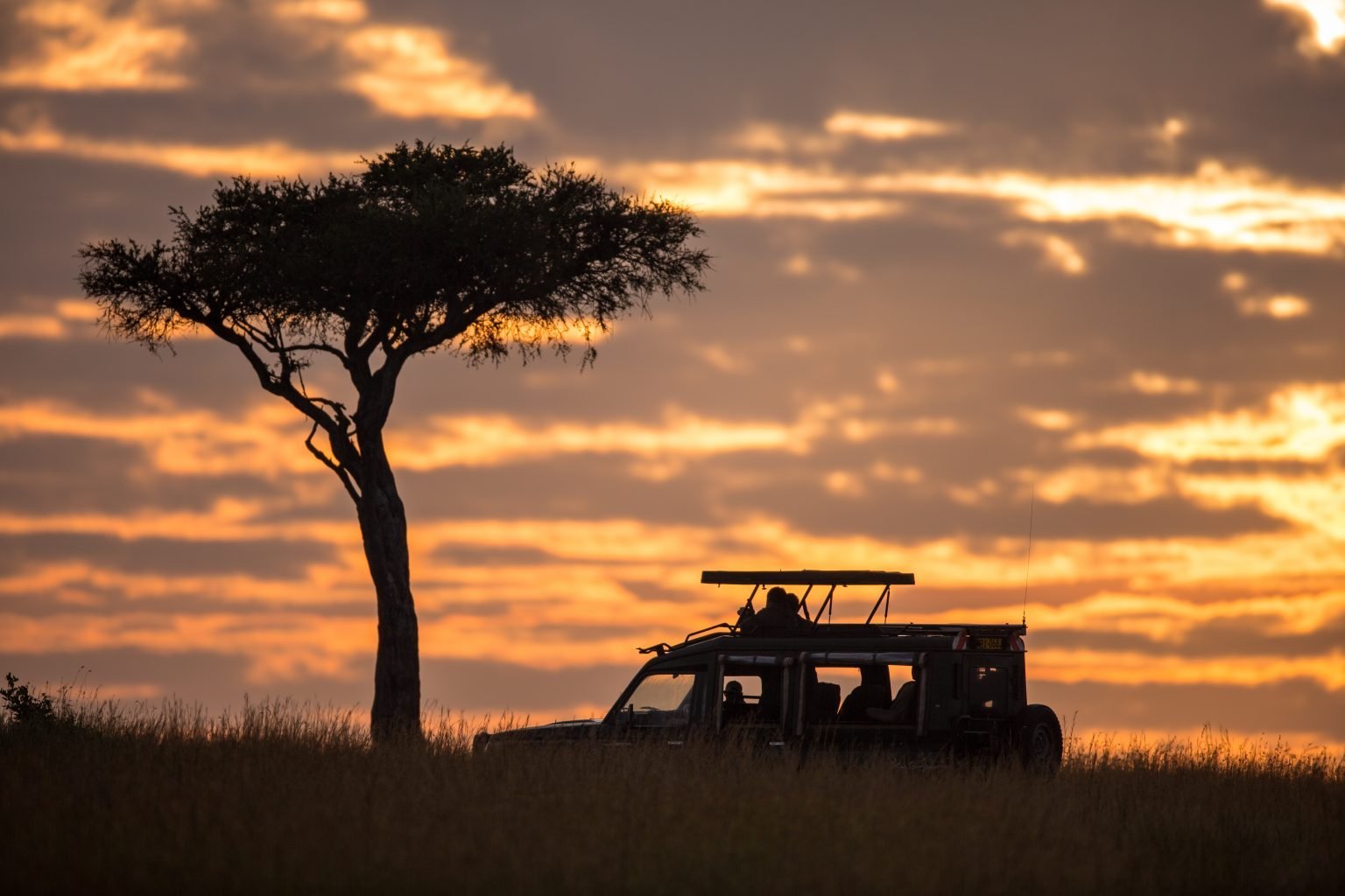 Проблемы восточной африки. Восточная Африка Кения. Sand River Masai Mara. Сафари Юго-Восточная Африка.