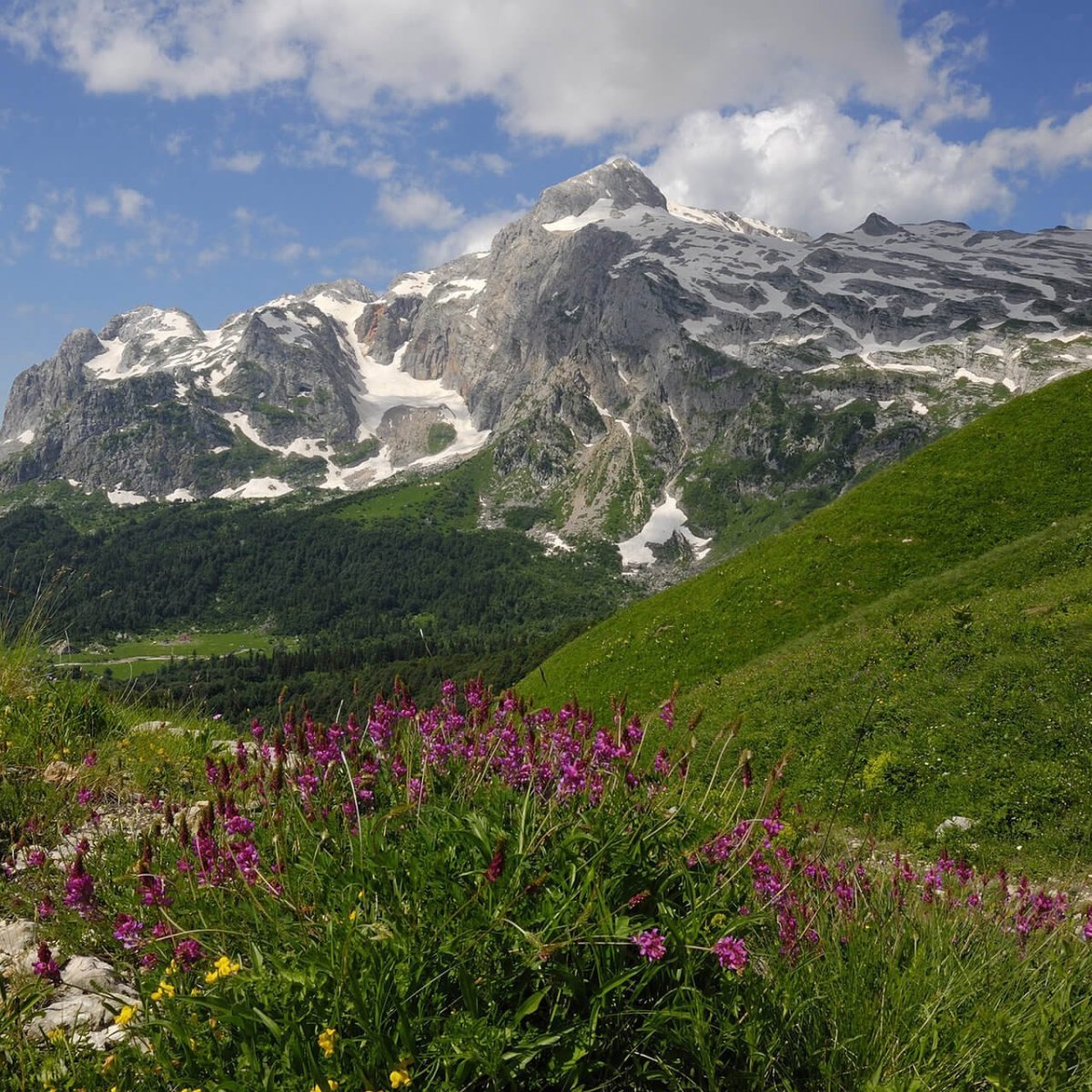 Альпийские луга лагонаки
