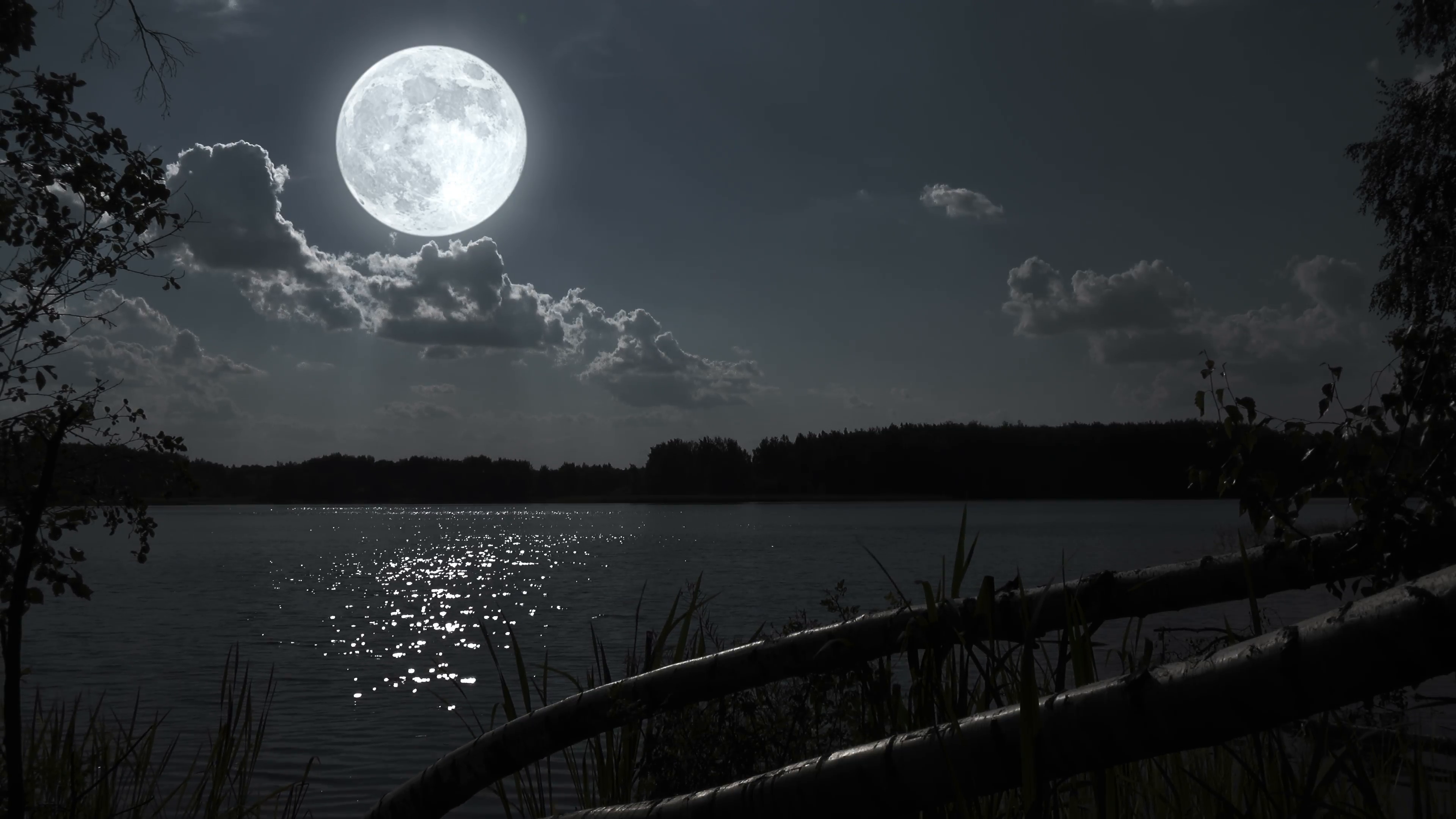 Лунная ночь. Ночной пейзаж. Ночь Луна. Природа Луны. Величава ночь