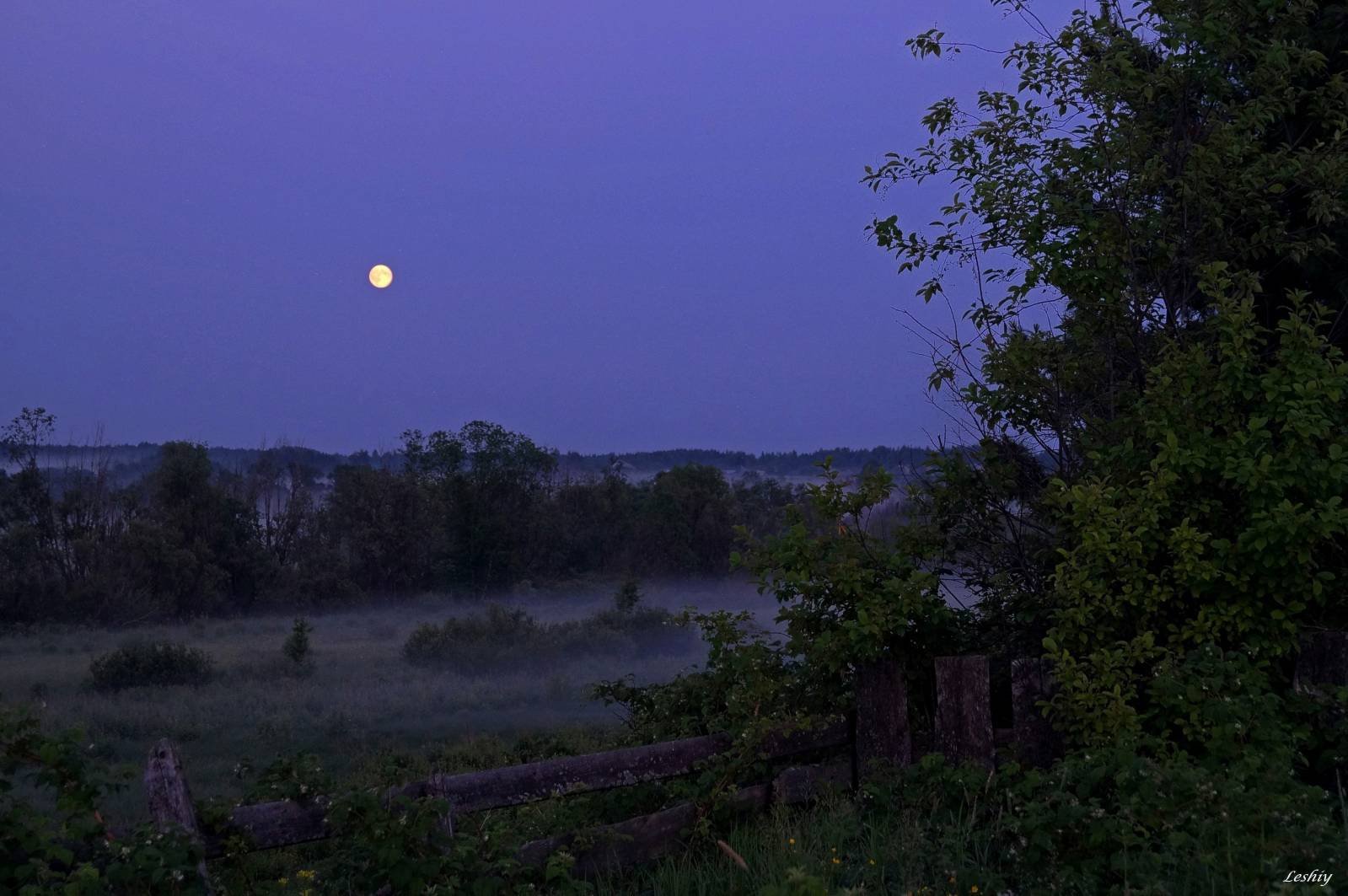 Слушать песни лунная ночь. Лунная ночь в деревне. Лунная летняя ночь в деревне. Луна в деревне. Ночь деревня Луна.
