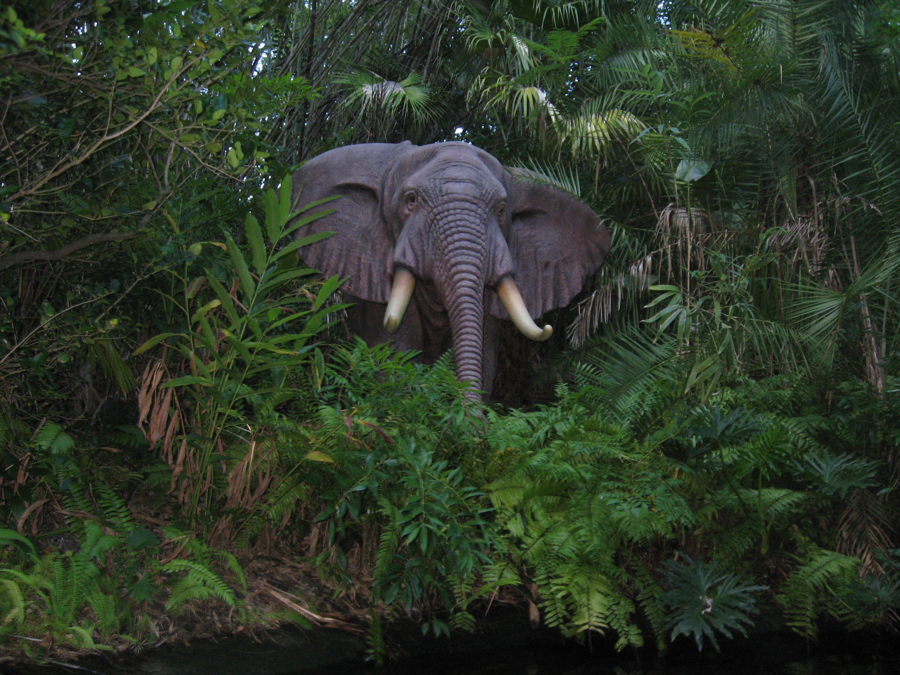 Где живет южный слон. Тропические леса Индии слоны. «Слоны в индийских джунглях» Ватагин. Индийский слон в тропическом лесу. Животные джунглей.