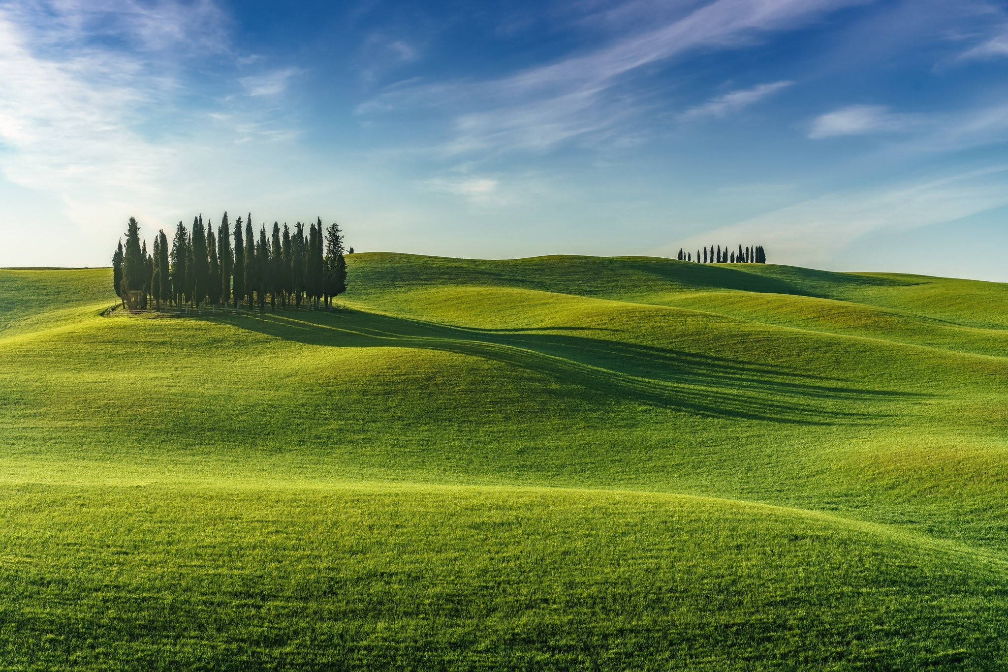 Поле value. Зеленые холмы 212525. Холмистая равнина Тоскана. Зеленое поле. Ландшафт поле.