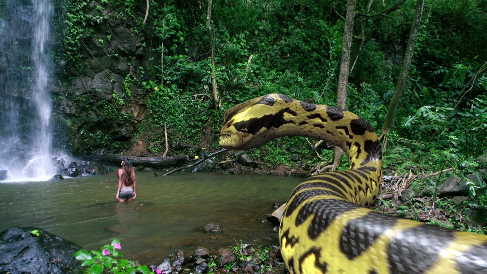 Анаконда куанг манг чжи зай 2024. Пираньяконда против мегоконды. Река Амазонка змея Анаконда.