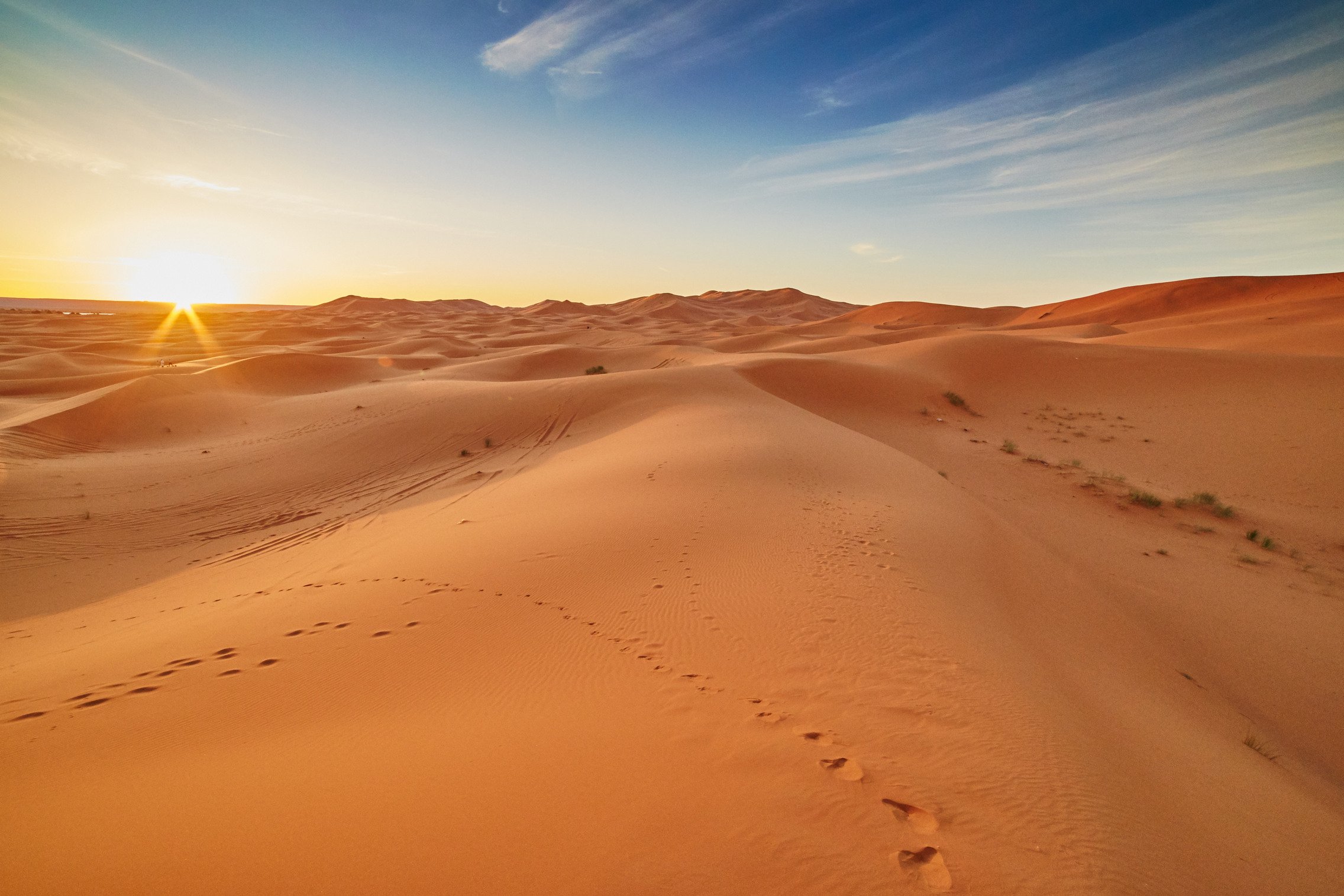 Пустыня. Рассвет в пустыне. Солнце в пустыне. Утро в пустыне. Красивая пустыня.