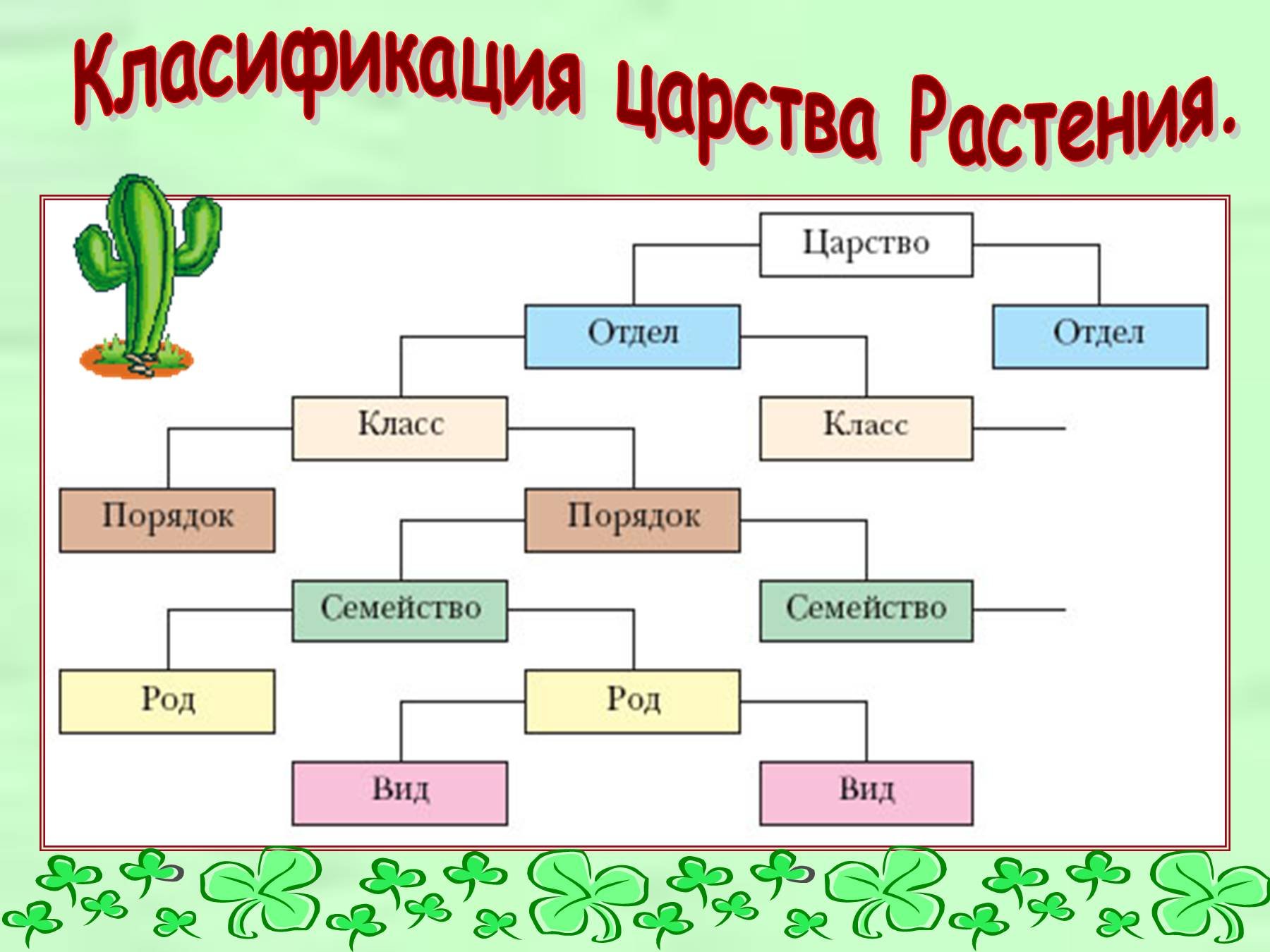 Род семейство отдел класс порядок. Царство растений отделы классы схема. Царство растений классификация схема 5 класс биология. Классификация групп царства растения 6 класс. Систематика царства растений схема.