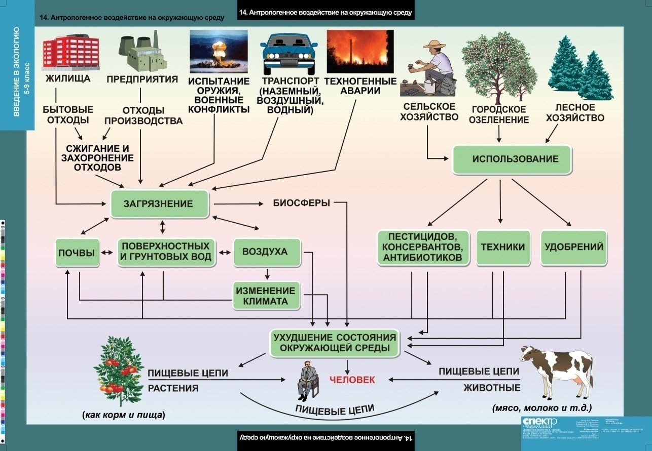 Влияние человека на экосистемы 11 класс биология