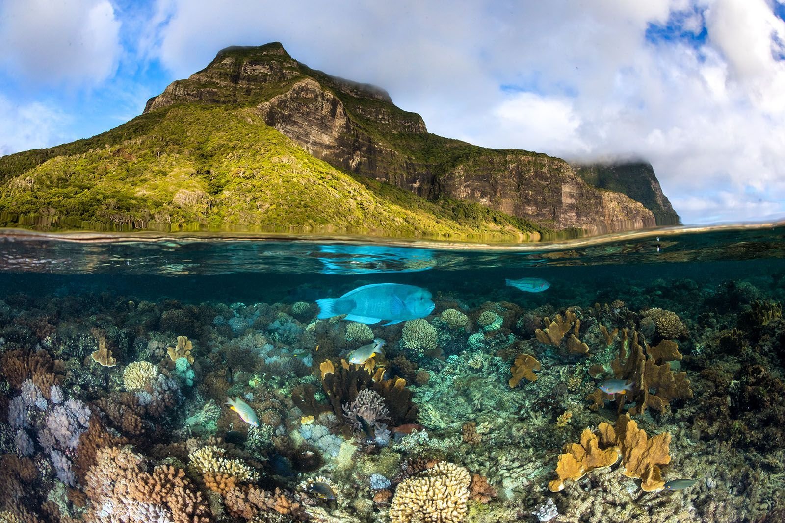 Прекрасные места риф. Нешенел джиографик. Океан National Geographic. Горы Океании.