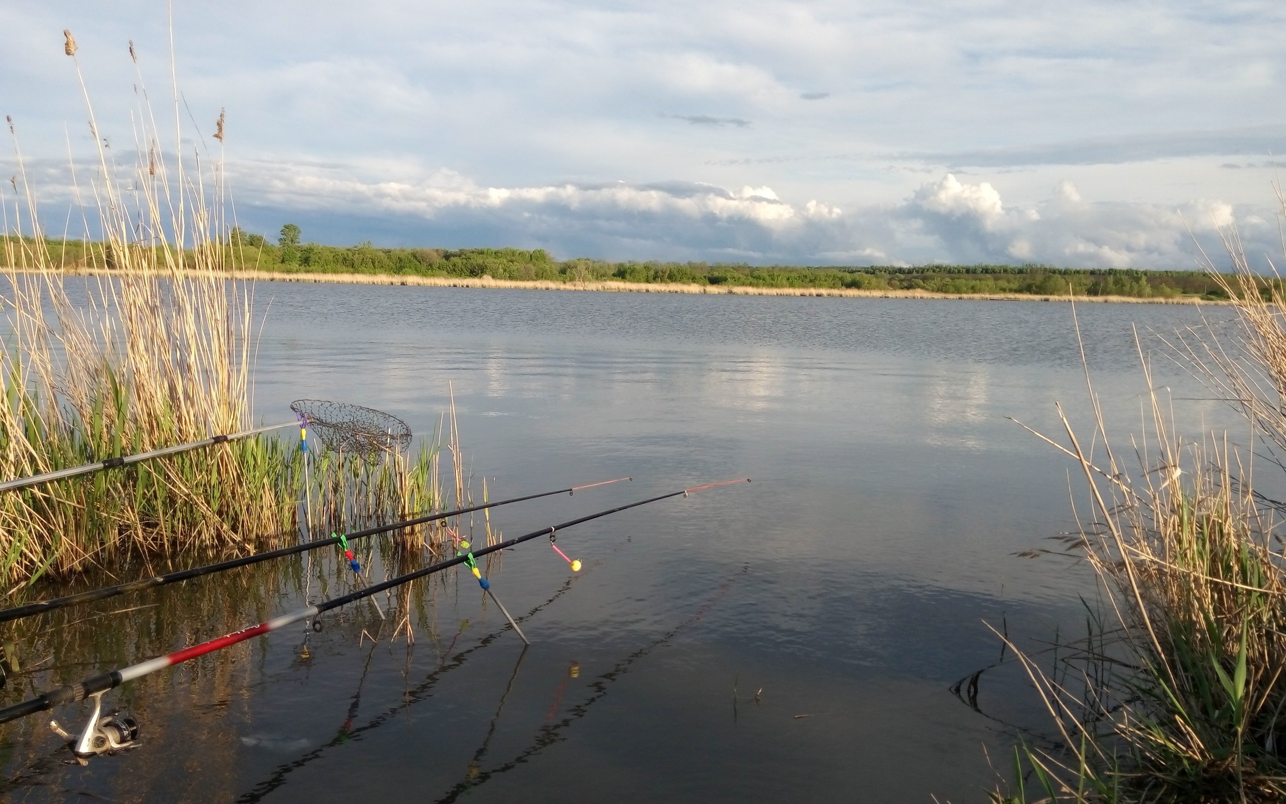 Первое мая озеро. Рыбалка на озере. Рыбалка в камышах. Орлинское озеро камыши. Тростниковая удочка.