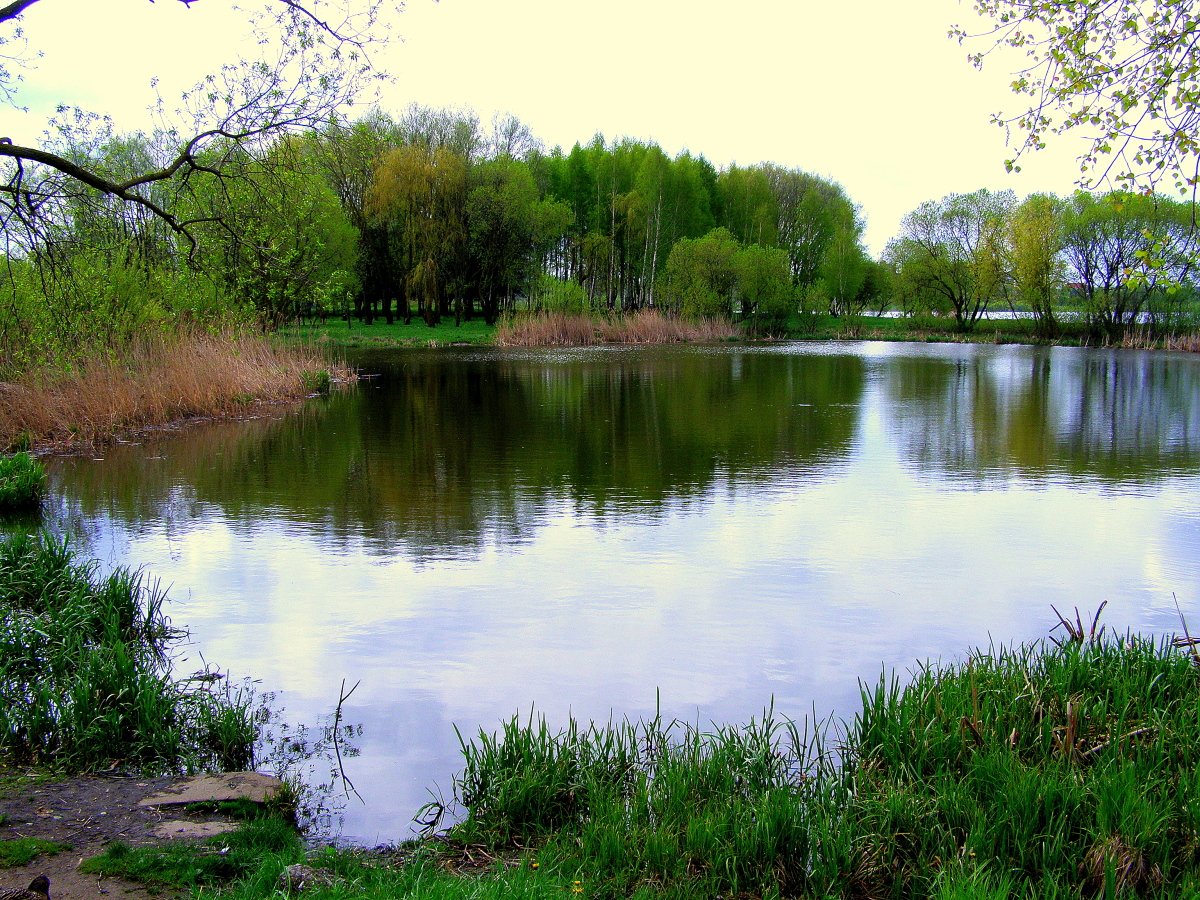 Первое мая озеро. Майское озеро в Хадыженске. Майский озеро Белгородская. Матвеевское озеро в Прохладном. Озеро Майское Славск.