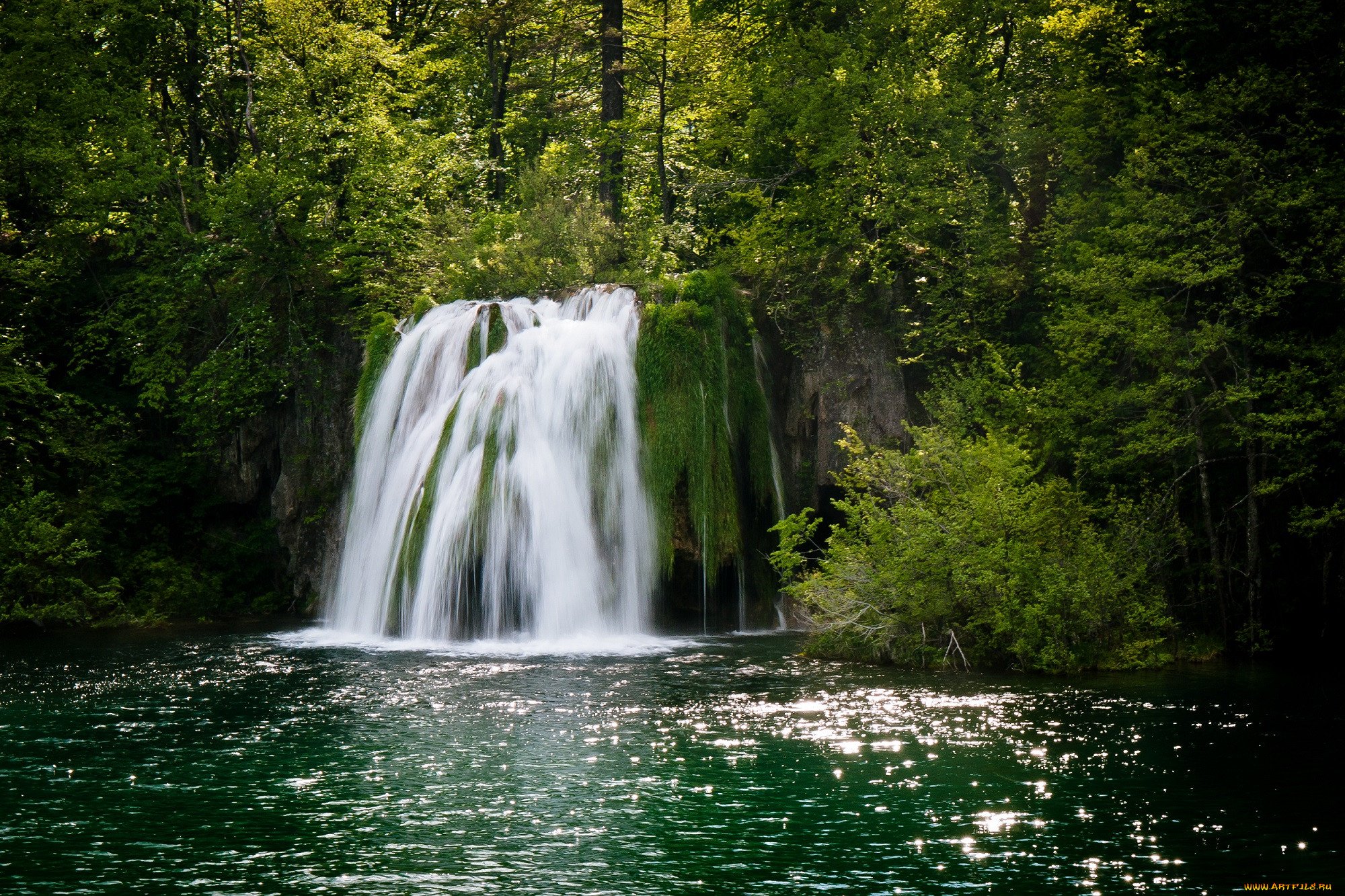 Озера водопад лес. Венсенский лес водопад. Шатский водопад. Лесное озеро водопадик. Водопад у озера.