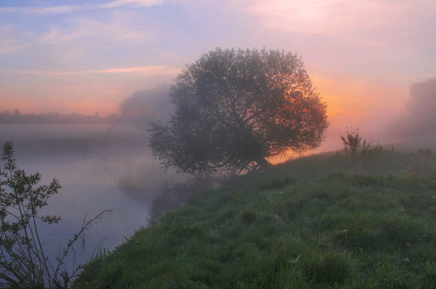 Там над рекою туман песня. Туманное утро Фет. Туманное утро Фет иллюстрация. Утро туман. Утренний туман над рекой.