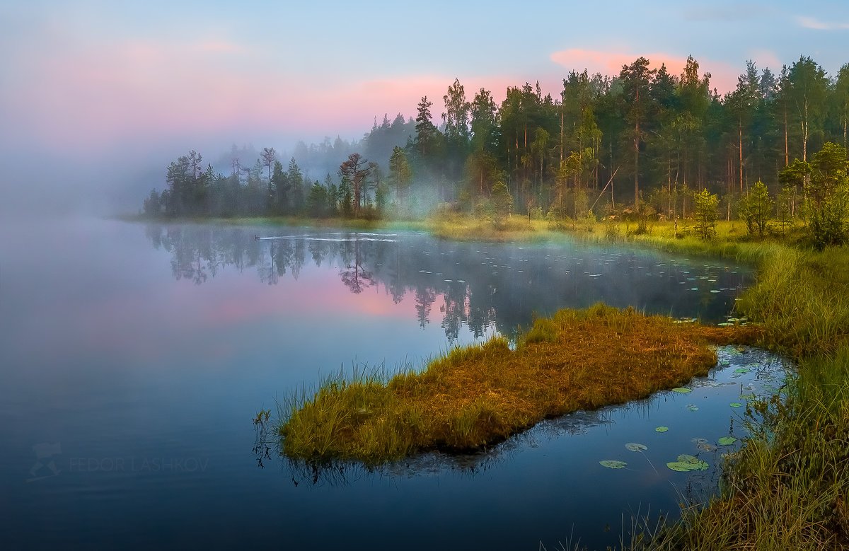 Лесное озеро в ленинградской области