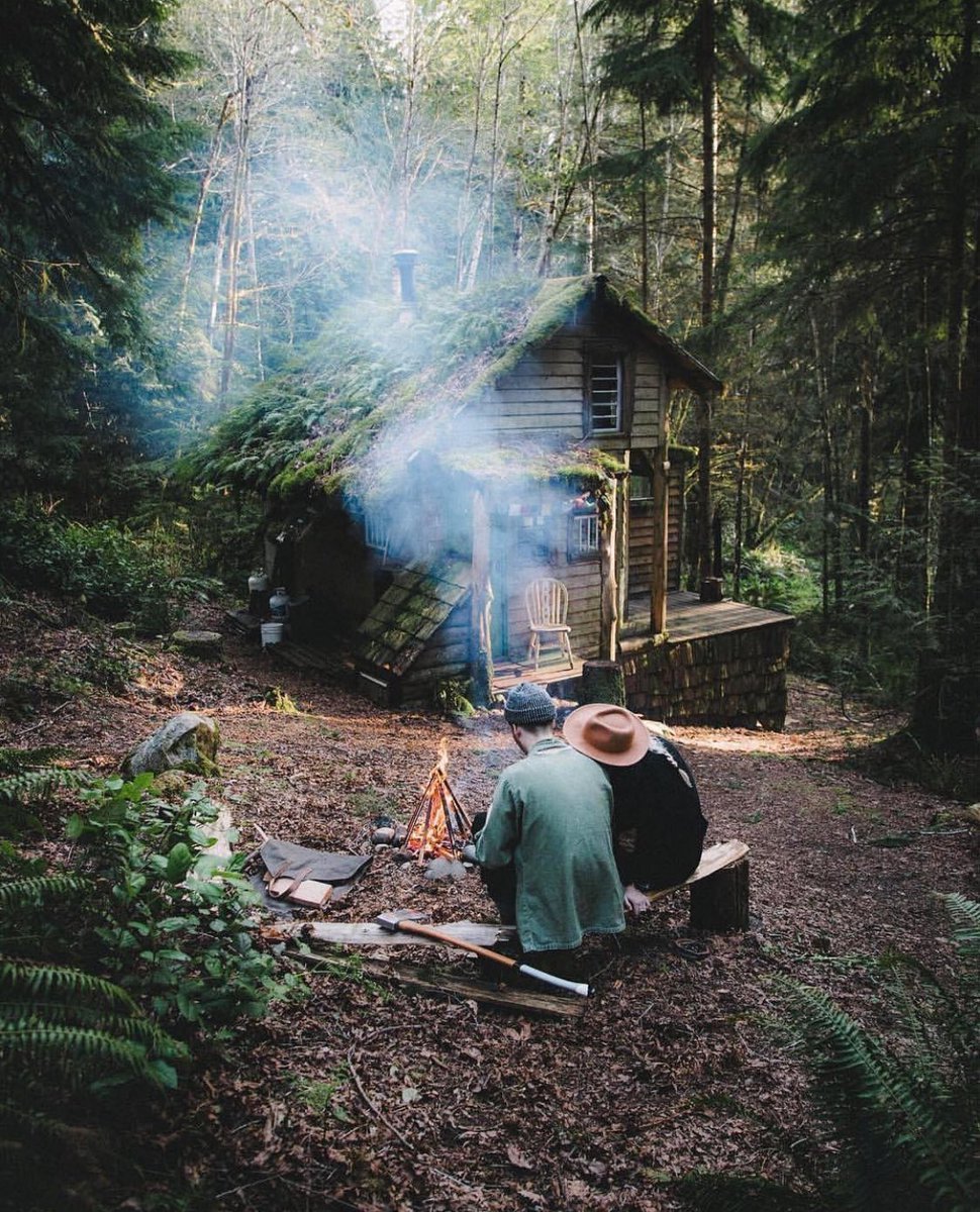 Природа хочет жить. Домик в лесу. Уютный домик в лесу. Дом в лесу. Уютное место на природе.