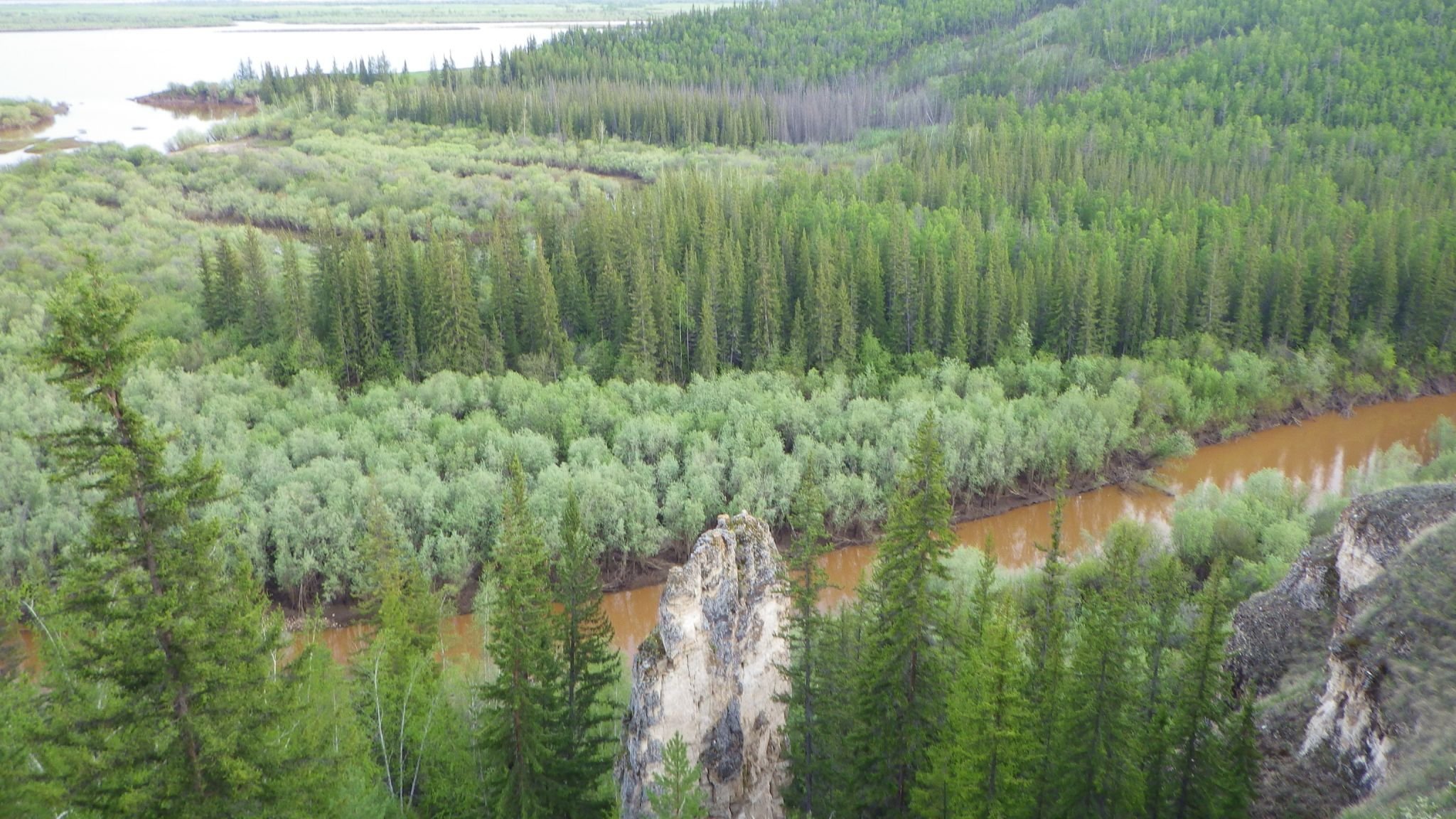 Мо якутия. Тайга Саха Якутия. Леса Республики Саха Якутия. Природа Якутии Тайга. Лиственничная Тайга лес Якутия.