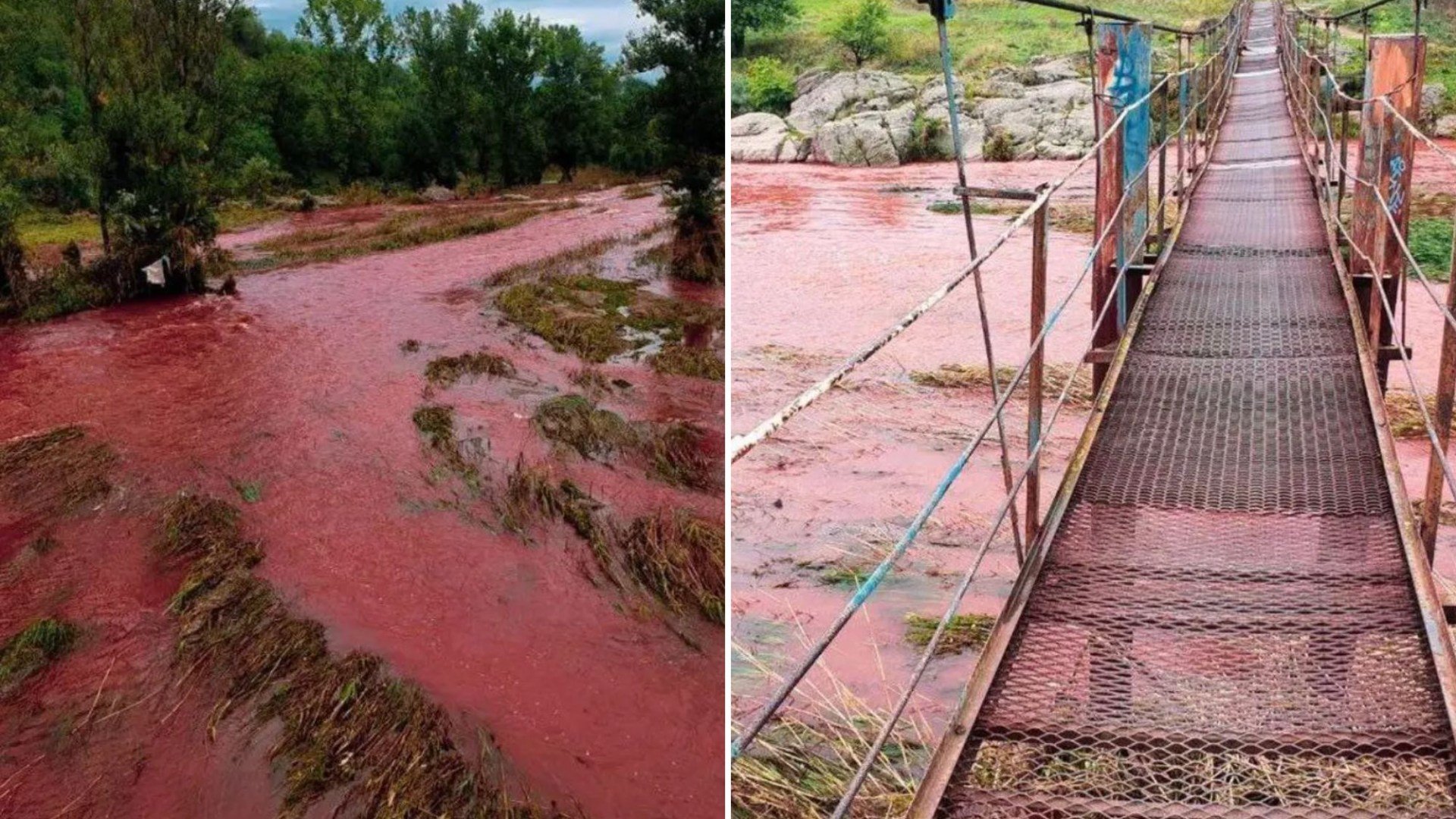 Река рог. Река окрасилась в красный. Река Ингулец красная. Река с красной водой.