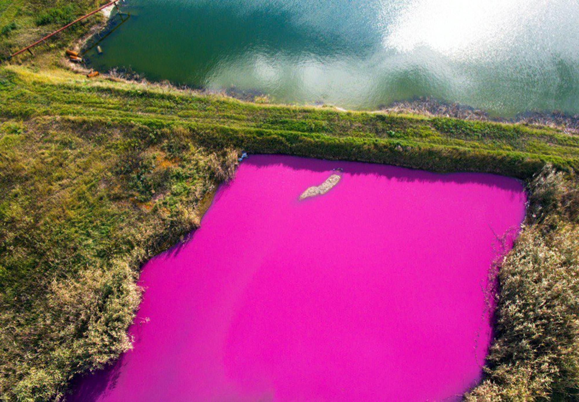 Водоем который окрашивается в нежно розовый цвет. Озеро Хильер в Австралии. Розовое озеро Хиллер Австралия. Озеро Хиллер в России. Озеро Хиллер (остров Миддл).