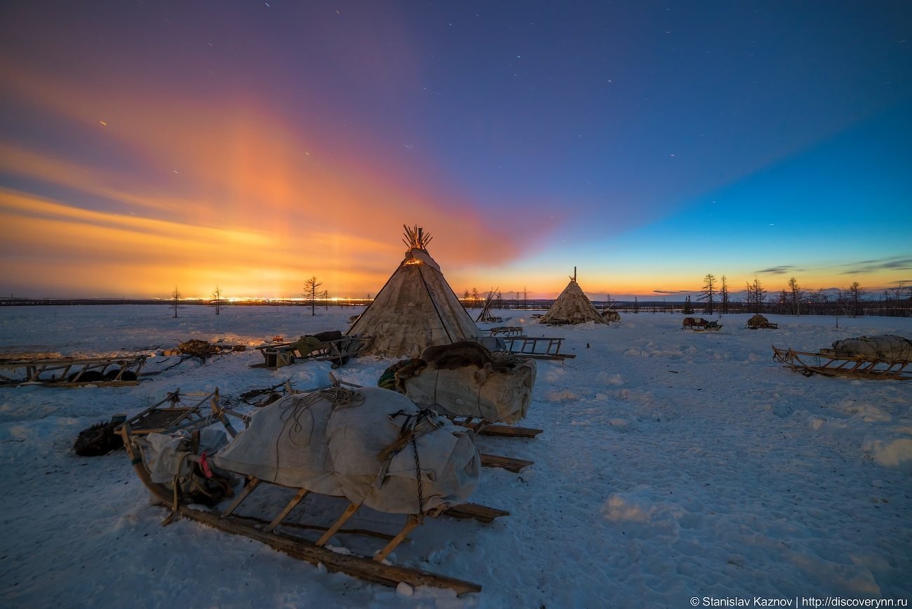 В тундре много снега. Тундра Ненецкий автономный округ. Салехард тундра. Ямал тундра ненцы.