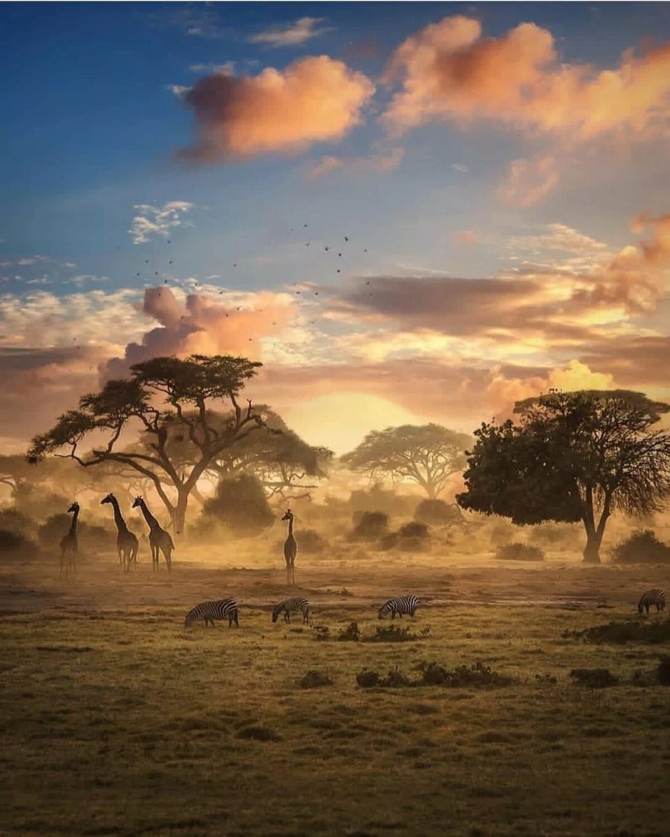 Африка панорама