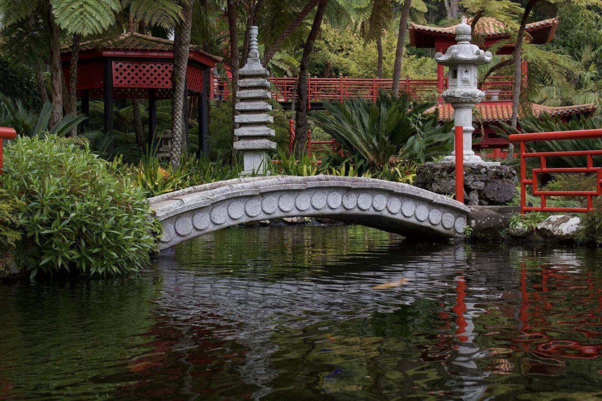 Мост в японском саду