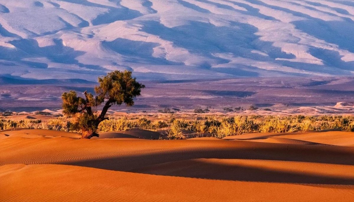 Пустыня сахель