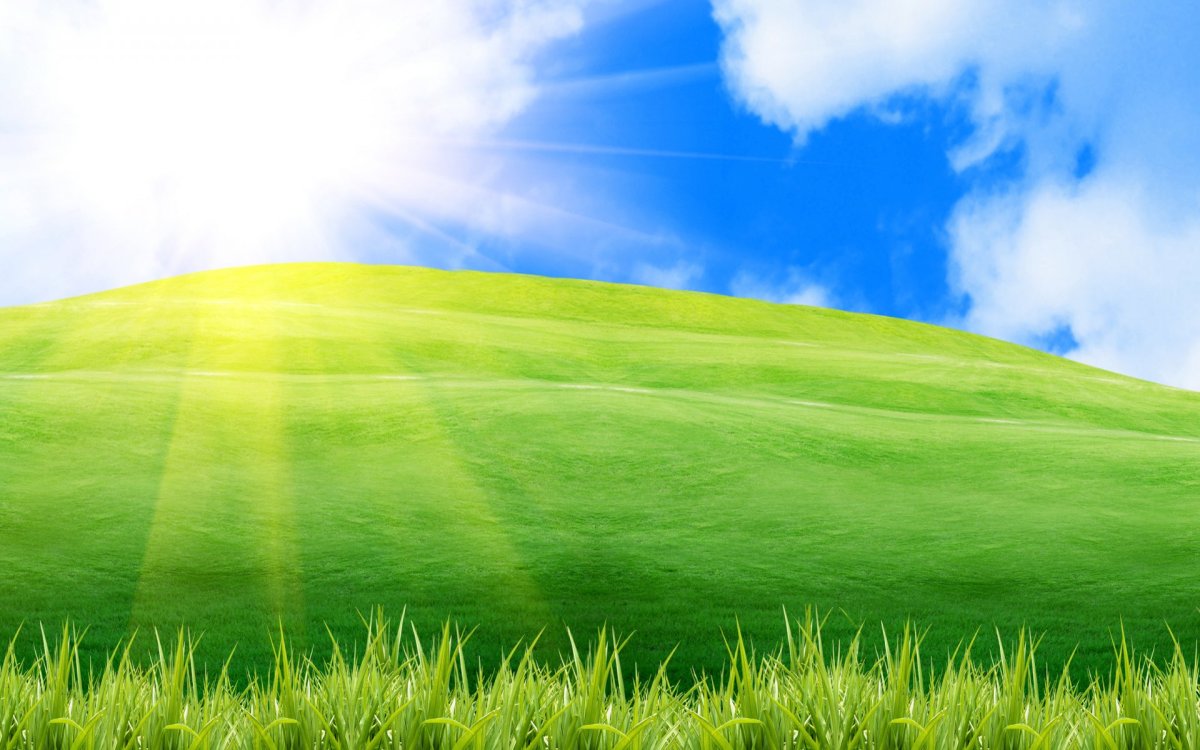 Зеленый луг и небо