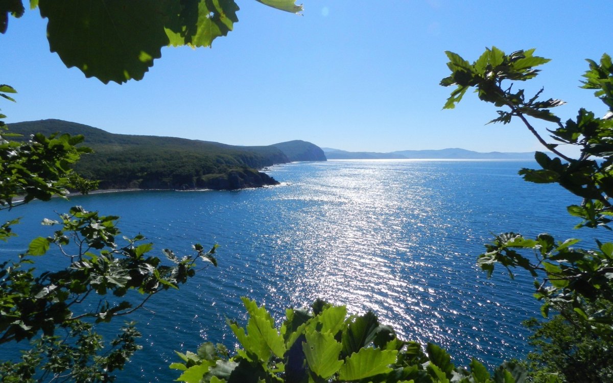 Природа черноморского побережья